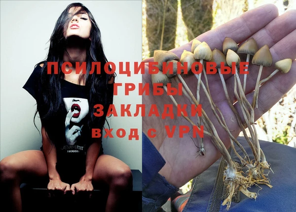 MDMA Premium VHQ Нязепетровск