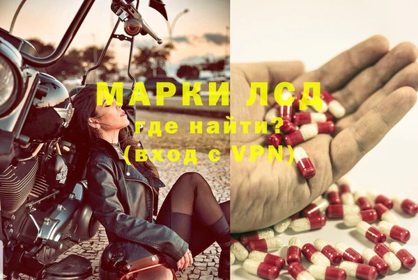 мяу мяу мука Нягань