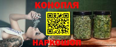 гашик Гай