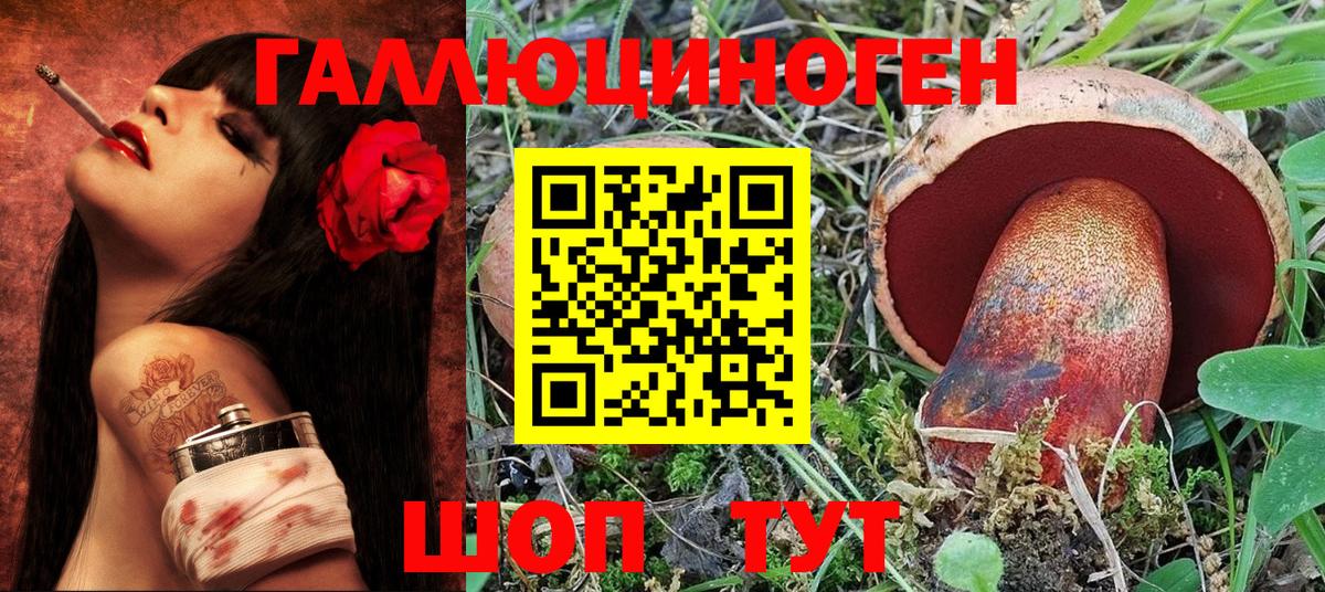 Галлюциногенные грибы прущие грибы  Галлюциногенные грибы Cubensis  Анапа 