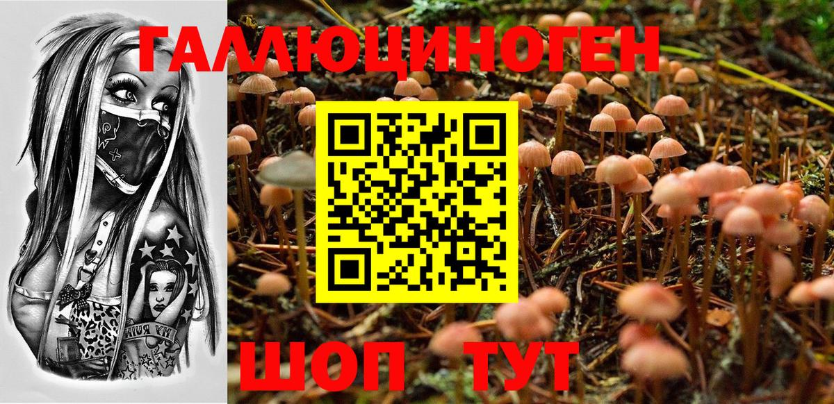 Галлюциногенные грибы ЛСД Анапа
