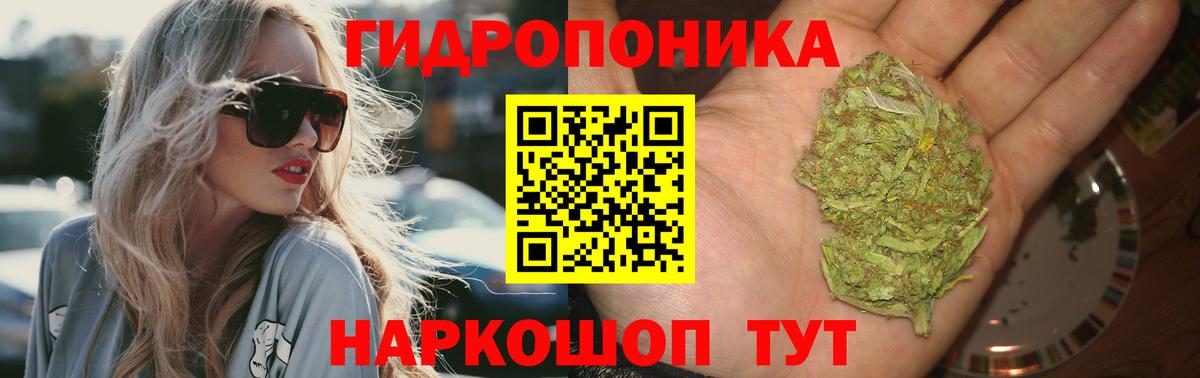 Канабис OG Kush  Марихуана конопля  Марихуана семена  Вход с VPN  Анапа 